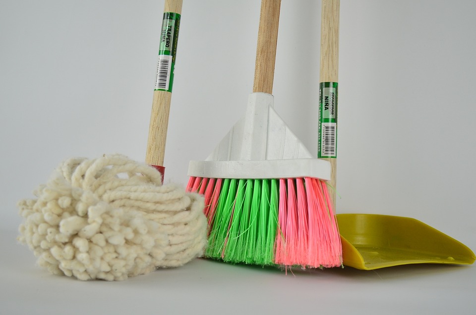 broom 1837434 960 720