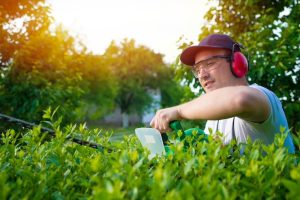 professional gardener trimming hedge yard 342744 537